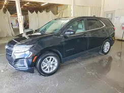 3GNAXKEG3PL252072 2023 CHEVROLET EQUINOX