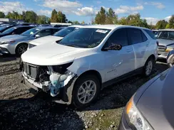 3GNAXKEG6PL118365 2023 CHEVROLET EQUINOX
