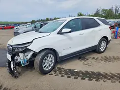 3GNAXKEG7PS217833 2023 CHEVROLET EQUINOX