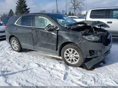 3GNAXKEV2KL319204 2019 CHEVROLET EQUINOX