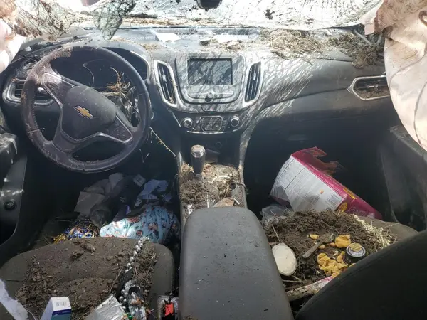 3GNAXKEV3KS613460 2019 CHEVROLET EQUINOX - Image 8