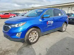 3GNAXKEV5KS590263 2019 CHEVROLET EQUINOX
