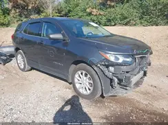3GNAXKEV7KS589244 2019 CHEVROLET EQUINOX