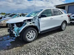 3GNAXSEG0RL198393 2024 CHEVROLET EQUINOX