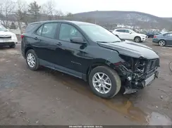 3GNAXSEG4RL325923 2024 CHEVROLET EQUINOX