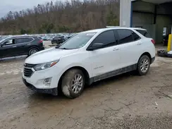 3GNAXSEV4KS645981 2019 CHEVROLET EQUINOX