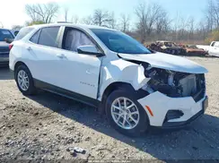 3GNAXTEG1PL250259 2023 CHEVROLET EQUINOX