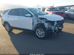 3GNAXTEG5RL299919 2024 CHEVROLET EQUINOX