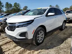 3GNAXTEG6PL250919 2023 CHEVROLET EQUINOX