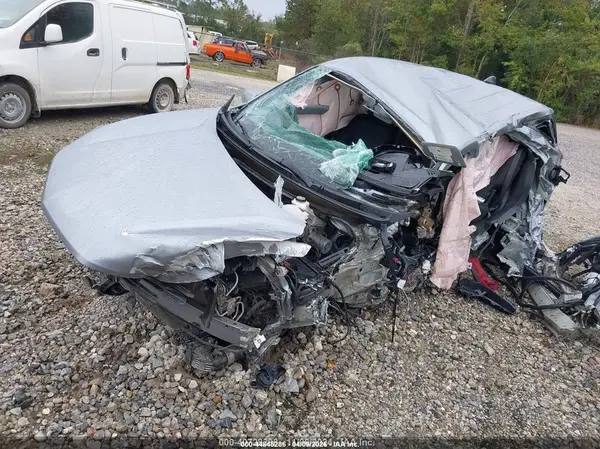 3GNAXTEG6RL250308 2024 CHEVROLET EQUINOX - Image 2