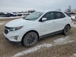 3GNAXTEV3KS604067 2019 CHEVROLET EQUINOX