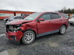 3GNAXUEG0PS215255 2023 CHEVROLET EQUINOX