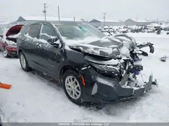 3GNAXUEG2PL254519 2023 CHEVROLET EQUINOX