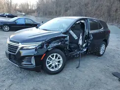 3GNAXUEG4PL258314 2023 CHEVROLET EQUINOX