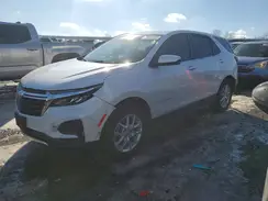 3GNAXUEG4RL237384 2024 CHEVROLET EQUINOX