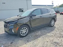 3GNAXUEG5PL268592 2023 CHEVROLET EQUINOX