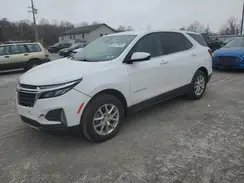 3GNAXUEG7RL238903 2024 CHEVROLET EQUINOX