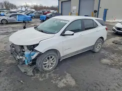 3GNAXUEGXPS153816 2023 CHEVROLET EQUINOX