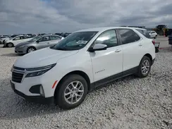 3GNAXUEGXPS188081 2023 CHEVROLET EQUINOX
