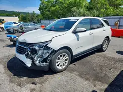 3GNAXUEV1KS569051 2019 CHEVROLET EQUINOX