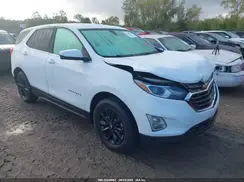 3GNAXUEV1KS580437 2019 CHEVROLET EQUINOX