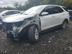 3GNAXUEV1KS593995 2019 CHEVROLET EQUINOX