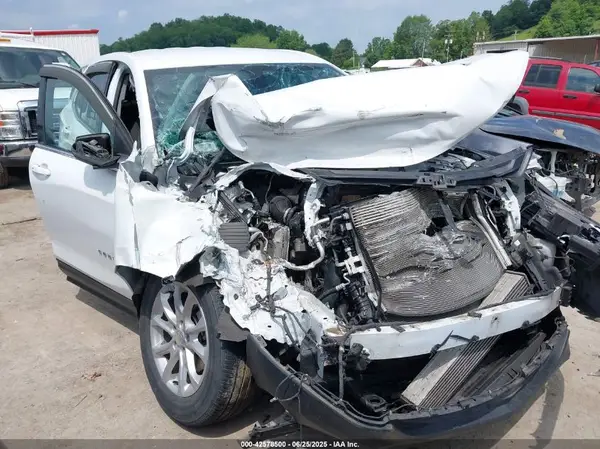 3GNAXUEV2KL117863 2019 CHEVROLET EQUINOX - Image 1