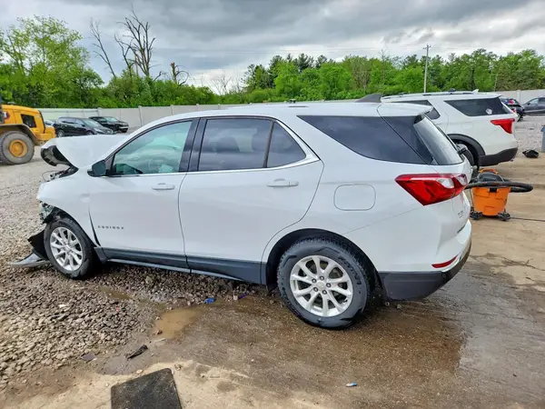 3GNAXUEV3KL263396 2019 CHEVROLET EQUINOX - Image 2