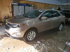3GNAXUEV5KL113869 2019 CHEVROLET EQUINOX