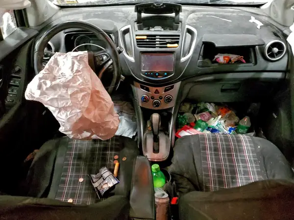 3GNCJPSB3GL243209 2016 CHEVROLET TRAX - Image 8