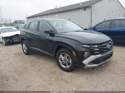 3KMJACDE0SE007420 2025 HYUNDAI TUCSON