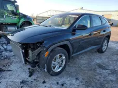 3KMJACDE1SE013209 2025 HYUNDAI TUCSON