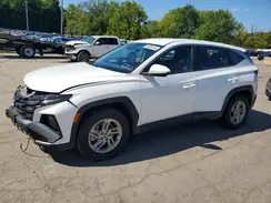 3KMJACDE2SE003806 2025 HYUNDAI TUCSON