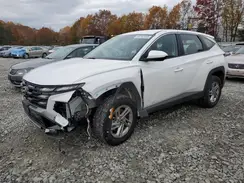 3KMJACDE2SE021173 2025 HYUNDAI TUCSON