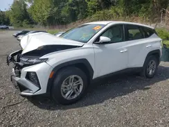 3KMJACDE8SE003485 2025 HYUNDAI TUCSON