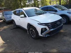3KMJB3DE3SE023513 2025 HYUNDAI TUCSON