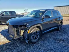 3KMJB3DE8SE006206 2025 HYUNDAI TUCSON