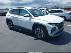 3KMJB3DE8SE019537 2025 HYUNDAI TUCSON
