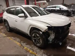 3KMJBCDE0SE010377 2025 HYUNDAI TUCSON