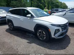 3KMJBCDE1SE003650 2025 HYUNDAI TUCSON