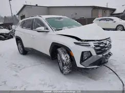 3KMJBCDE1SE026510 2025 HYUNDAI TUCSON