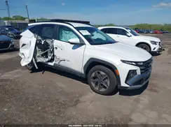 3KMJBCDE3SE008610 2025 HYUNDAI TUCSON
