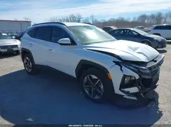 3KMJBCDE3SE010969 2025 HYUNDAI TUCSON