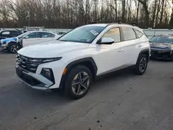 3KMJBCDE3SE015900 2025 HYUNDAI TUCSON