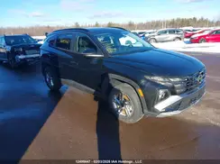 3KMJBCDE4SE027229 2025 HYUNDAI TUCSON