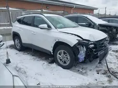 3KMJBCDE8TE037005 2026 HYUNDAI TUCSON