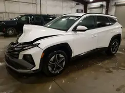 3KMJBCDE9SE007137 2025 HYUNDAI TUCSON