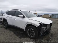 3KMJBCDEXSE002139 2025 HYUNDAI TUCSON