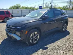 3KMJBCDEXSE005204 2025 HYUNDAI TUCSON