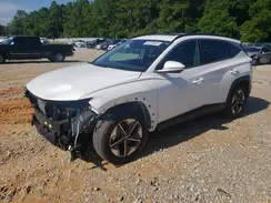 3KMJC3DE5SE009688 2025 HYUNDAI TUCSON